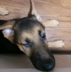 Meet your Posher, Chloe